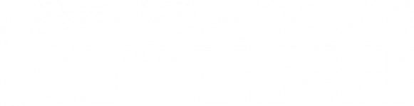 brandi-studio-logo